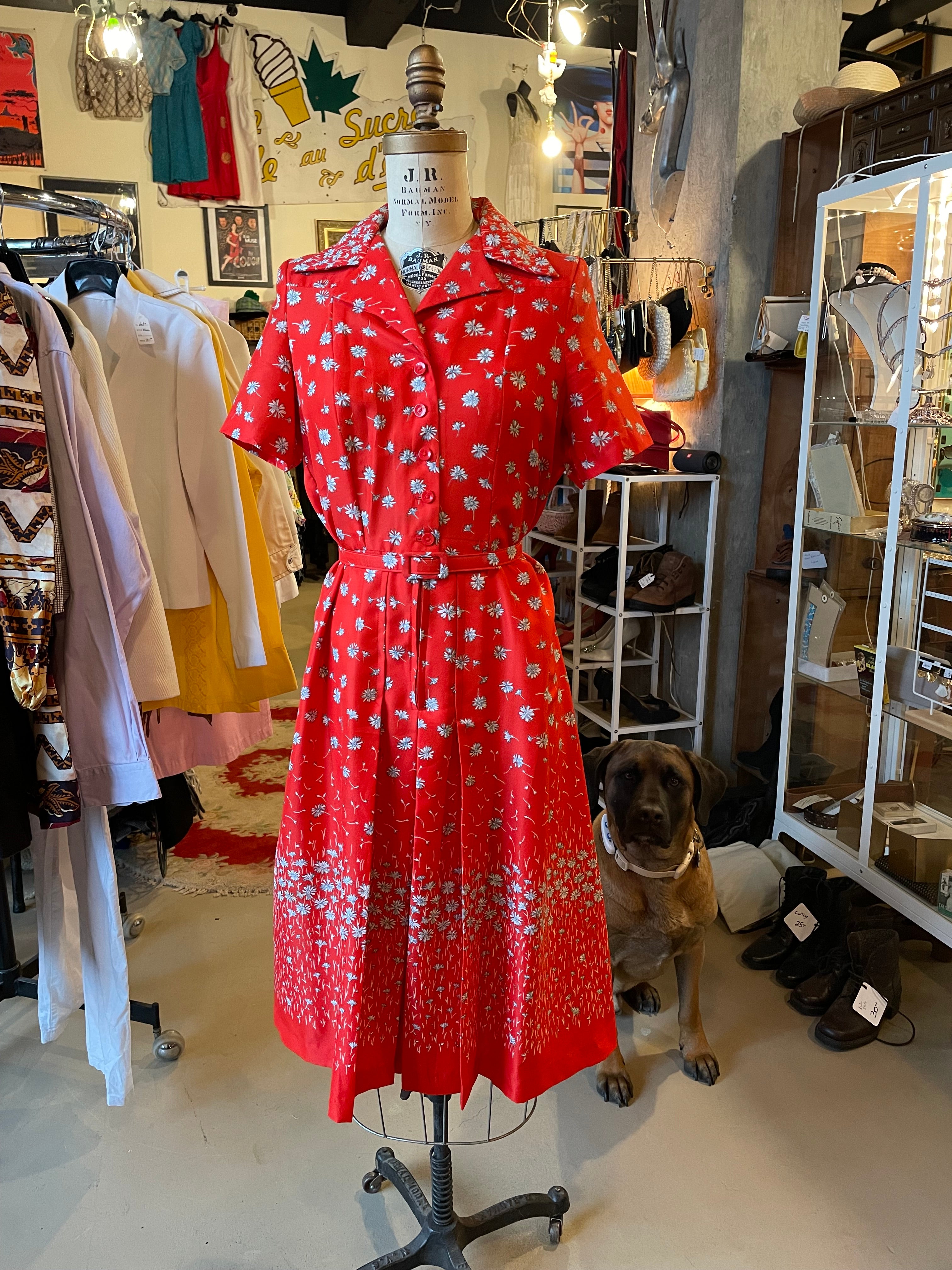 Robe vintage 1970s Pauli dress